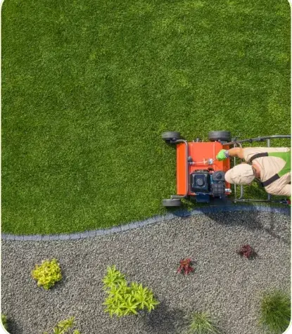 débroussaillage à Bellême - image 2