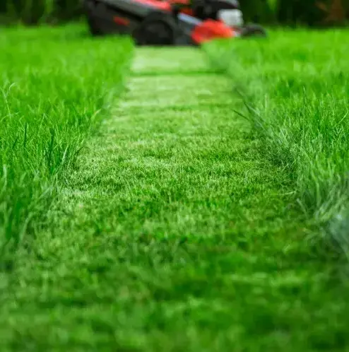 débroussaillage Bellême-5