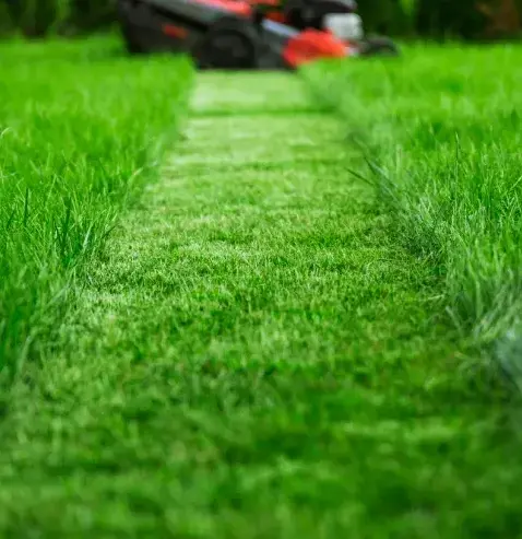 désherbage Authon-du-Perche-1