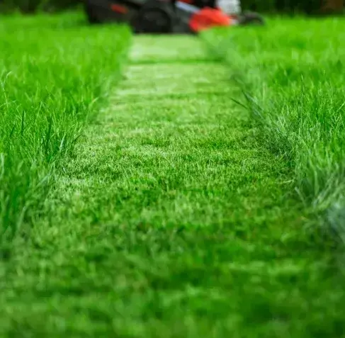 désherbage à Bellême - image 4