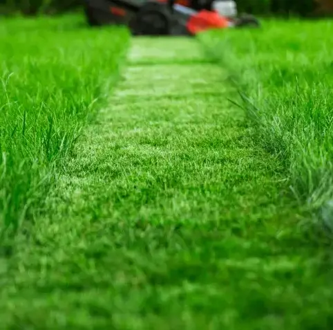 désherbage à Ceton - image 3