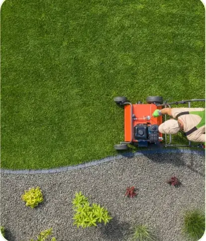 désherbage à La Ferté-Bernard - image 3