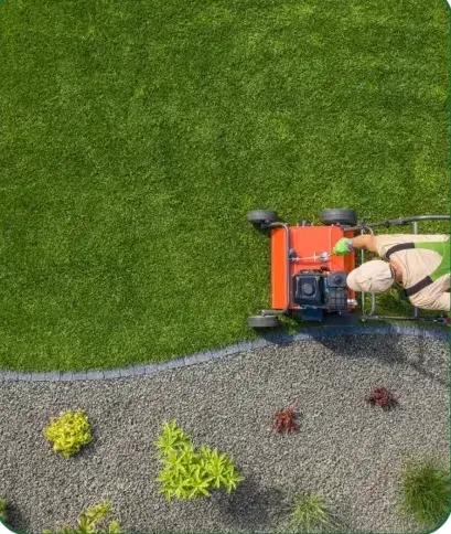 désherbage à La Ferté-Bernard - image 4