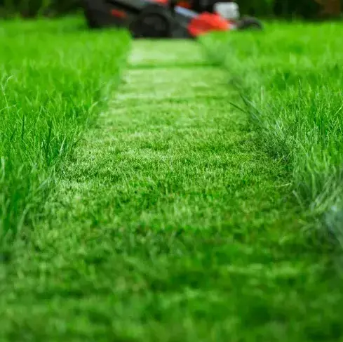 désherbage à Lamnay - image 3