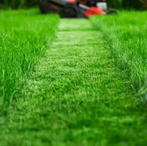 désherbage Montmirail-1