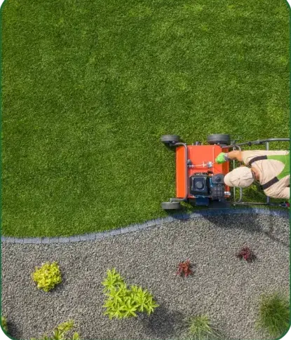 désherbage à Montmirail - image 2