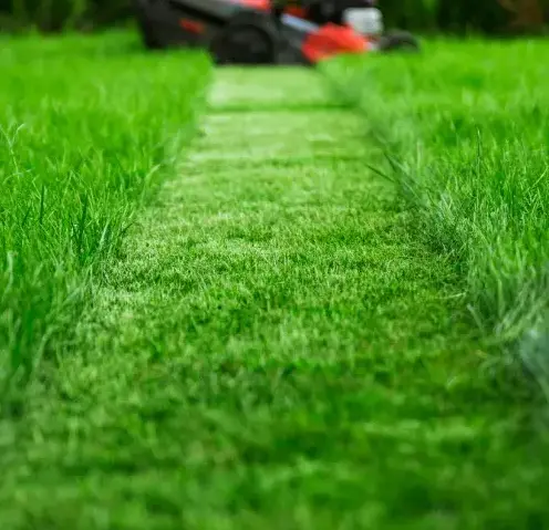 désherbage à Nogent-le-Rotrou - image 2