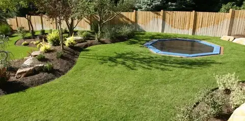 élagage à Bellême - image 3