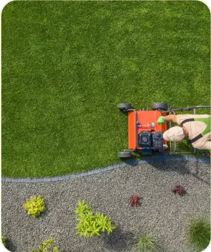 élagage à Lamnay - image 2