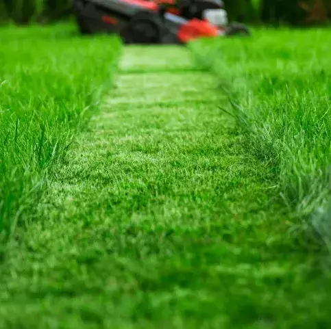 entretien jardinage à Bellême - image 3