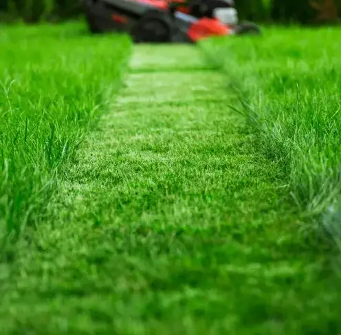 entretien jardinage à Ceton - image 3