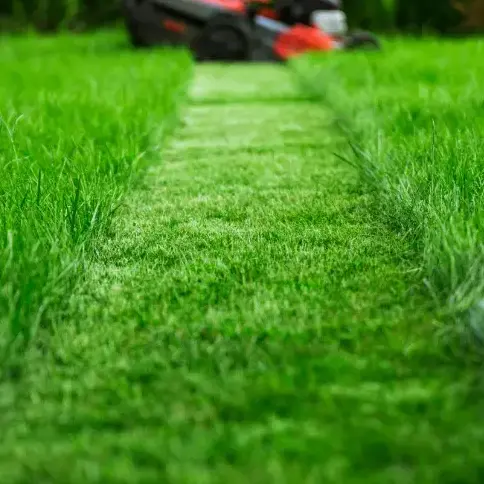 entretien jardinage Lamnay-1