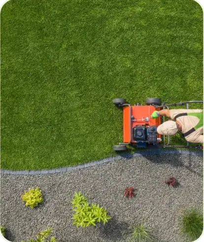 entretien jardinage à Lamnay - image 3