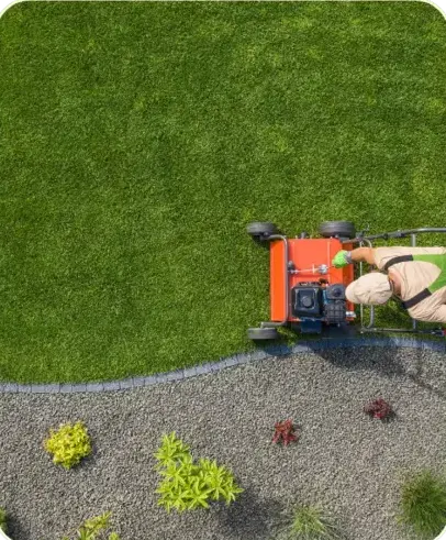 entretien jardinage à Montmirail - image 3