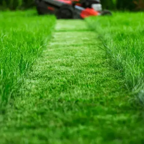 jardinier à Ceton - image 2