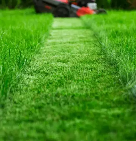 jardinier Nogent-le-Rotrou-1