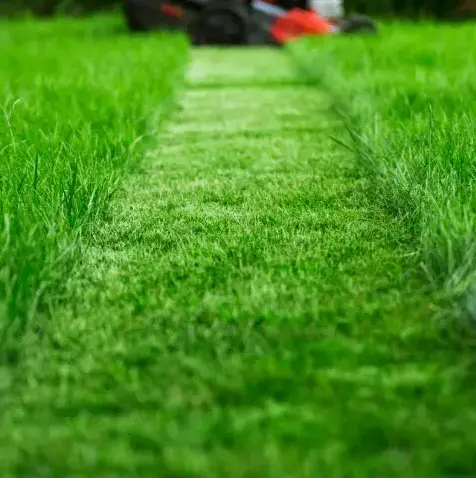 paysagiste Bellême-5