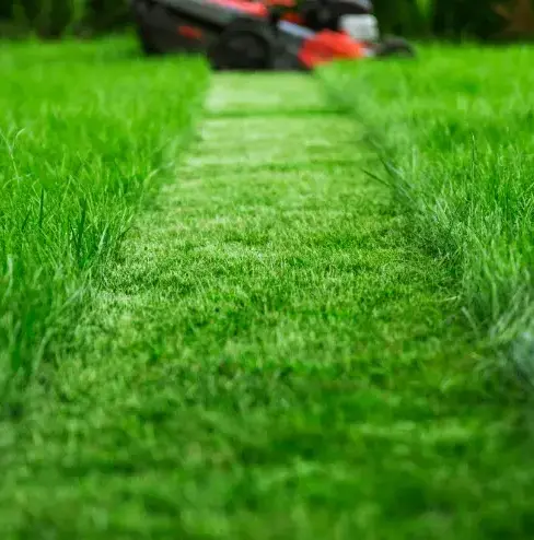 paysagiste à Nogent-le-Rotrou - image 3